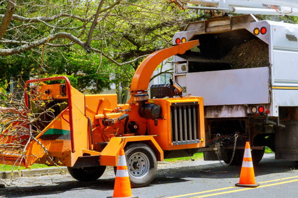 Mulching Services in Lonsdale, MN